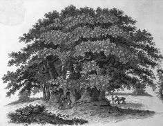 an old black and white drawing of people under a large tree