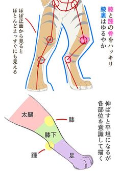 an image of a dog's body with the corresponding parts labeled in english and chinese