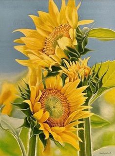 a painting of sunflowers with green leaves