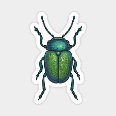 a green beetle sticker on a white background