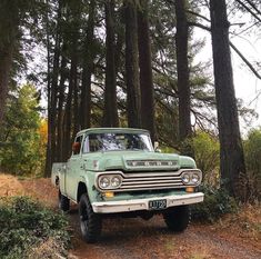 an old truck is parked in the woods