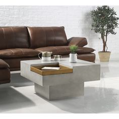 a living room with a couch, coffee table and potted plant