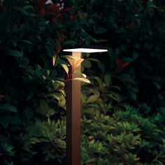 a lamp that is in the middle of some bushes and trees with leaves around it