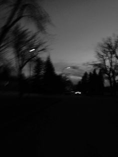 the night sky is black and white, with trees in the foreground at dusk