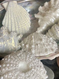 several seashells and pearls are sitting on a plate with other shells in the background