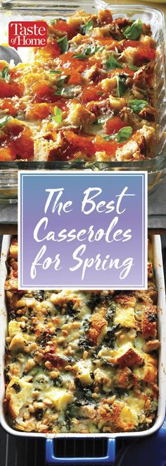 the best casserole for spring