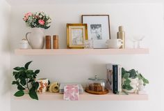 two shelves filled with books and vases on top of each other next to plants