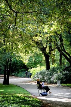 a woman sitting on a chair in the middle of a park with lots of trees