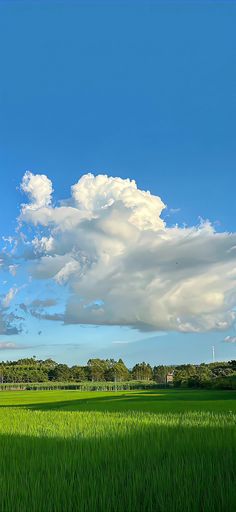 the sky is filled with clouds and green grass