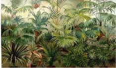 a painting of tropical plants and trees