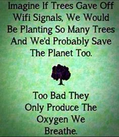 a green poster with the words imagine if trees gave off wifi signals we would be planting so many trees and wed probably save the planet too