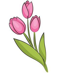 three pink tulips with green leaves on a white background