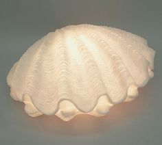 a large white shell shaped lamp on a gray surface with light coming from the top