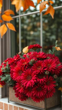 a bunch of red flowers sitting in a window sill