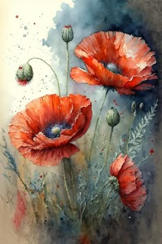 watercolor painting of red poppies on white paper