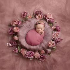 a newborn baby in a pink blanket surrounded by flowers