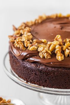 a chocolate cake with walnuts on top