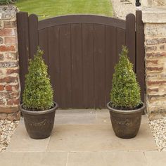 two potted plants sitting in front of a wooden gate