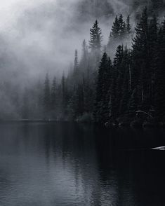 a lake surrounded by trees in the fog