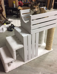 a cat sitting on top of a wooden structure in the middle of a room filled with furniture