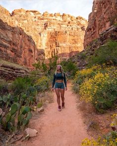 a woman walking down a dirt path in the desert with mountains and flowers behind her