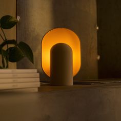 a table lamp sitting on top of a counter next to a stack of books and a potted plant