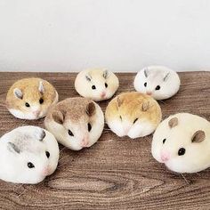 five stuffed hamsters sitting on top of a wooden table with their heads turned to look like they are looking at the camera