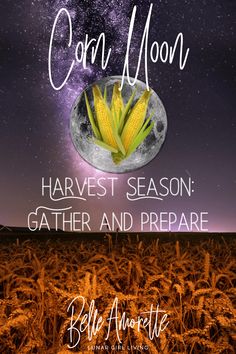 corn moon harvest season gather and prepare