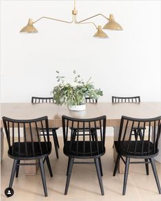 a dining room table with black chairs and a potted plant