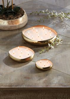 three candles sitting on top of a wooden table next to a potted plant and some white flowers