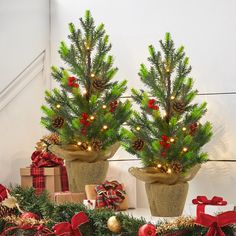 two potted christmas trees sitting next to each other