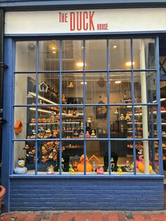 the duck house store front with blue windows