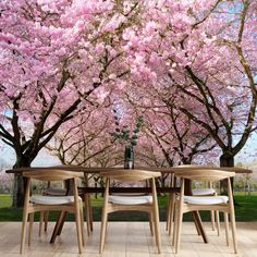 a dining room table with four chairs under a large cherry blossom tree mural on the wall