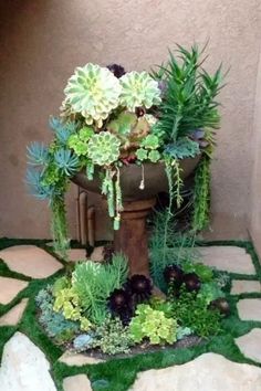 a potted plant sitting on top of a stone floor