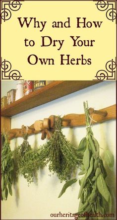 herbs hanging on a wall with the title why and how to dry your own herbs