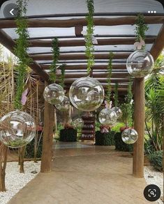 some clear balls hanging from the ceiling in an outdoor area with wood posts and plants