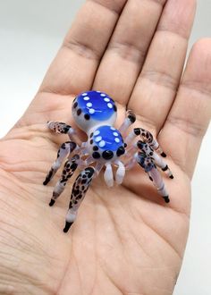 a small blue and white spider sitting on someone's hand with polka dot dots