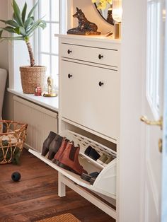 a shoe rack with shoes on it in front of a white cabinet and window next to a potted plant