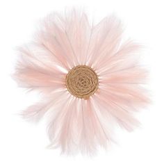 a pink feather flower on a white background