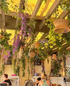 people sitting at tables with wicker baskets hanging from the ceiling and plants growing over them