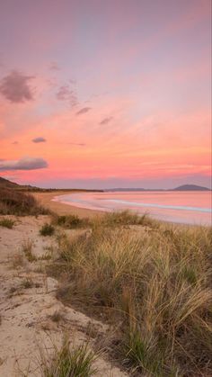 the sun is setting at the beach with tall grass in front of it and sand dunes to the side