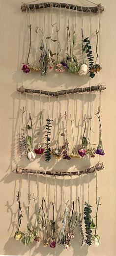 a wall hanging made out of branches with flowers and plants attached to the hooks on it