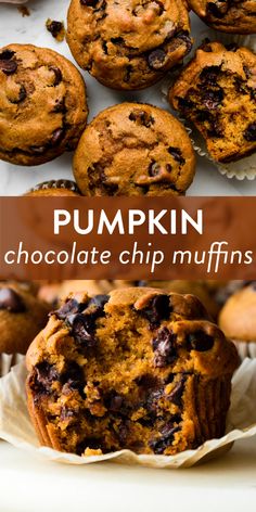 pumpkin chocolate chip muffins on a white plate with the title in the middle