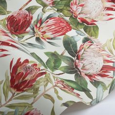 a floral wallpaper with red flowers and green leaves on white background, closeup