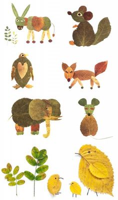 an image of different animals and plants on a white background