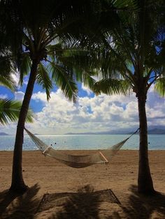 a hammock between two palm trees on the beach