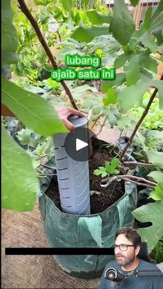 141K views · 2.3K reactions | Compost directo en la maceta | Cosas del Jardin