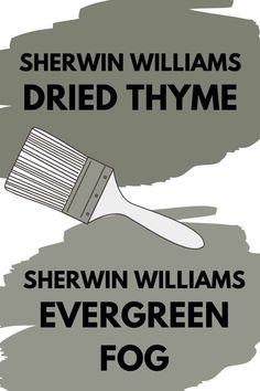 a brush with the words shewin williams dried thyme and shewn williams evergreen fog