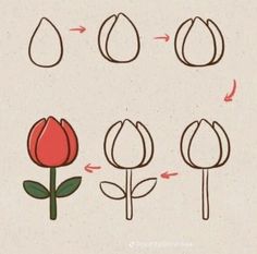 how to draw a tulip flower step by step instructions for beginners and advanced artists