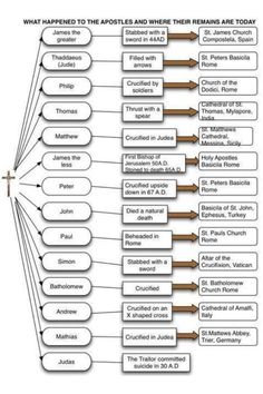 a diagram showing the main parts of an organization